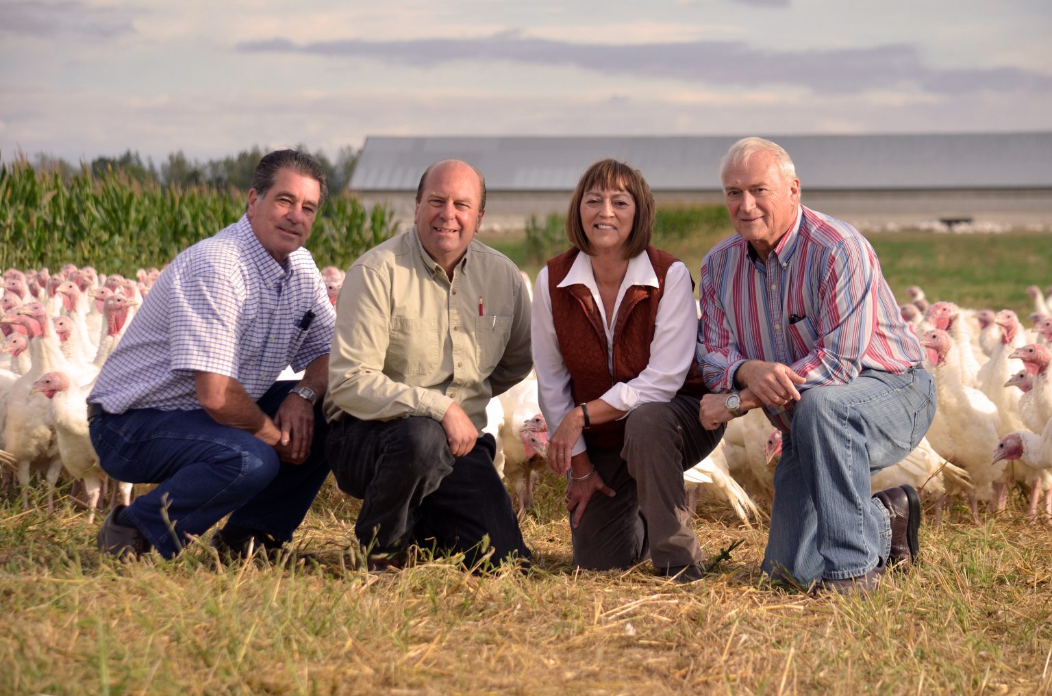 Our Farm Bowman And Landes Turkeys